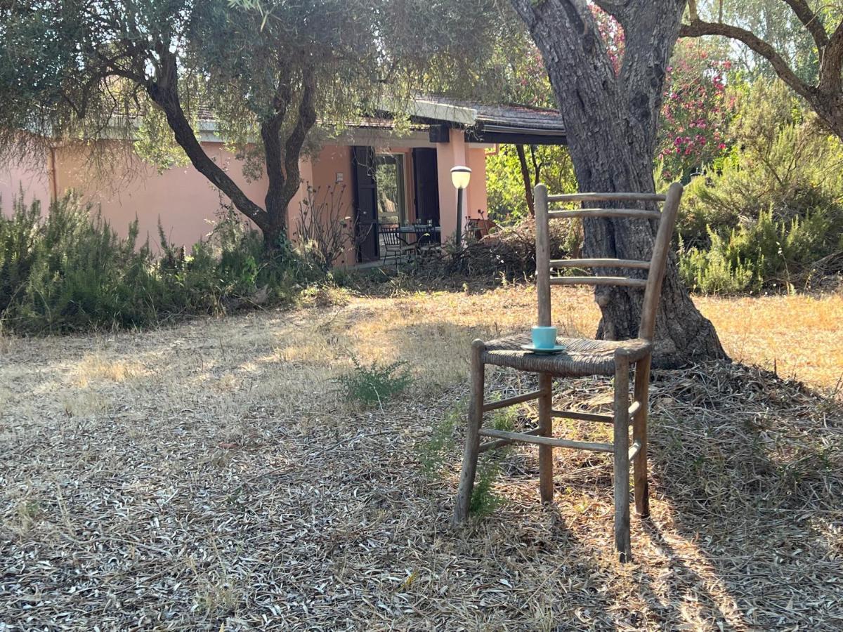 Casa Rosmarino Villa San Giovanni  Luaran gambar